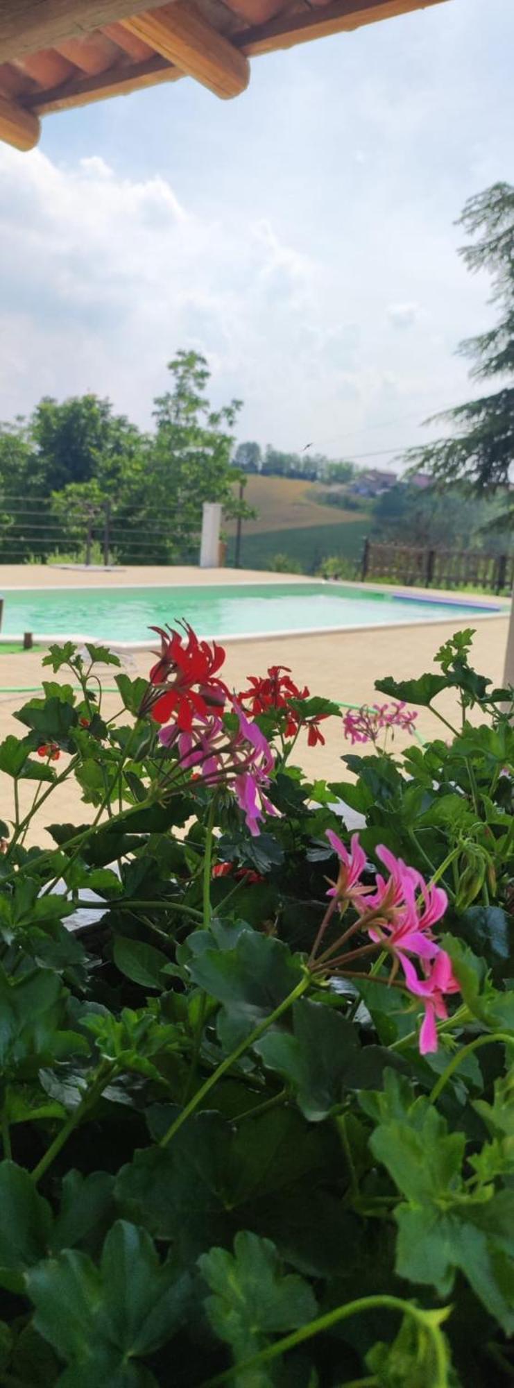 Cascina Pelizza Apartment กาซาเล มอนแฟร์ราโต ภายนอก รูปภาพ